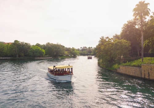 Water Taxi Services: Exploring the Benefits of this Public Transport Option